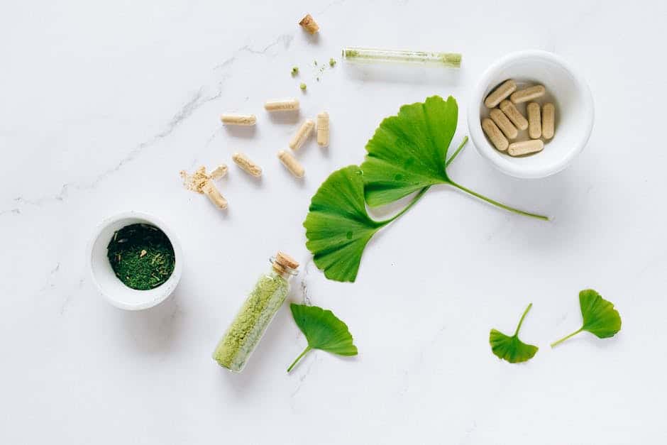 Supplements for optimal nutrient absorption